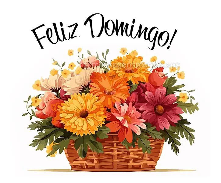 Feliz Domingo!