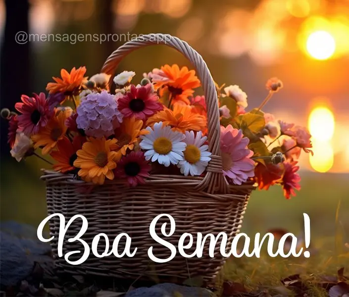 Boa Semana!