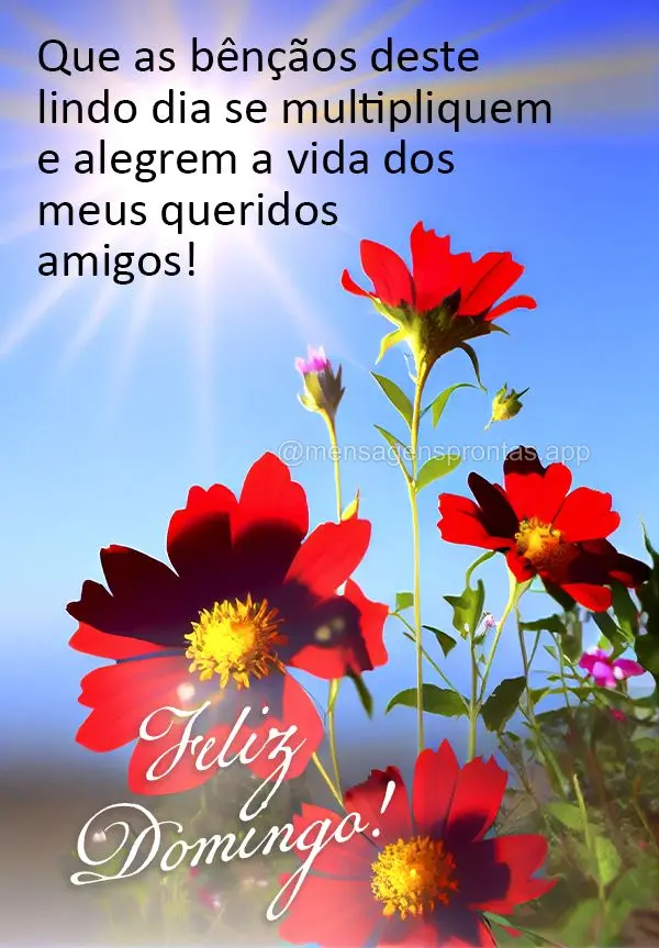 Que as bênçãos deste lindo dia se multipliquem e alegrem a vida dos meus queridos amigos! Feliz Domingo!