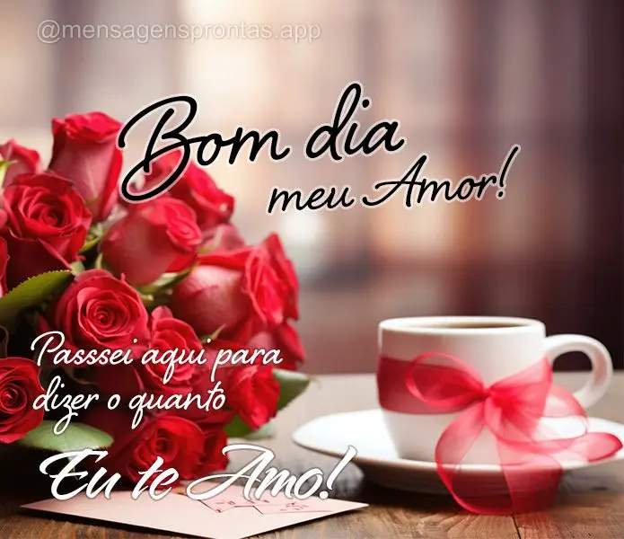 Passei aqui para dizer o quanto eu te amo! Bom dia meu amor! 