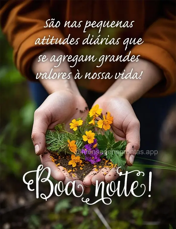 São nas pequenas atitudes diárias que se agregam grandes valores à nossa vida! Boa noite!