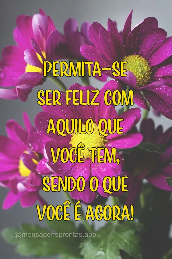 Permita-se ser feliz com aquilo que você tem, sendo o que você é agora!