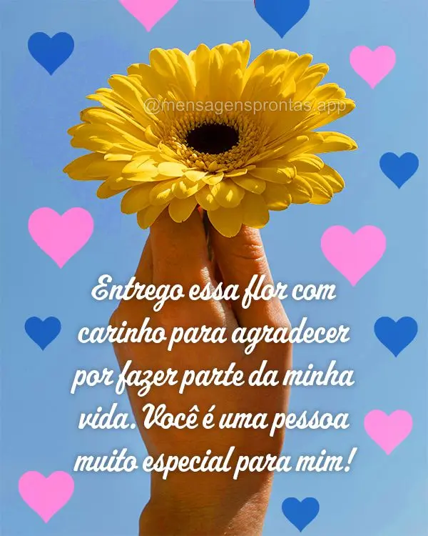 Entrego essa flor com carinho para agradecer por fazer parte da minha vida.  Você é uma pessoa muito especial para mim!