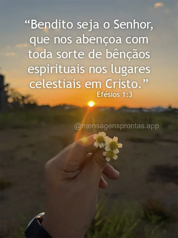 "Bendito seja o Senhor, que nos abençoa com toda sorte de bênçãos espirituais nos lugares celestiais em Cristo." Efésios 1:3