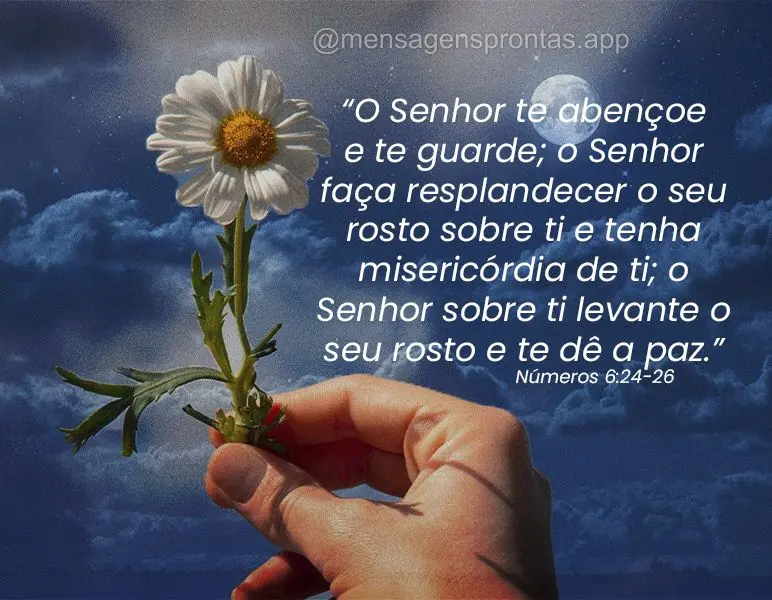 "O Senhor te abençoe e te guarde; o Senhor faça resplandecer o seu rosto sobre ti e tenha misericórdia de ti; o Senhor sobre ti levante o seu rosto e ...