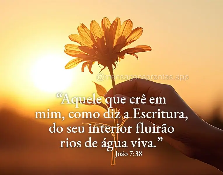 "Aquele que crê em mim, como diz a Escritura, do seu interior fluirão rios de água viva." João 7:38