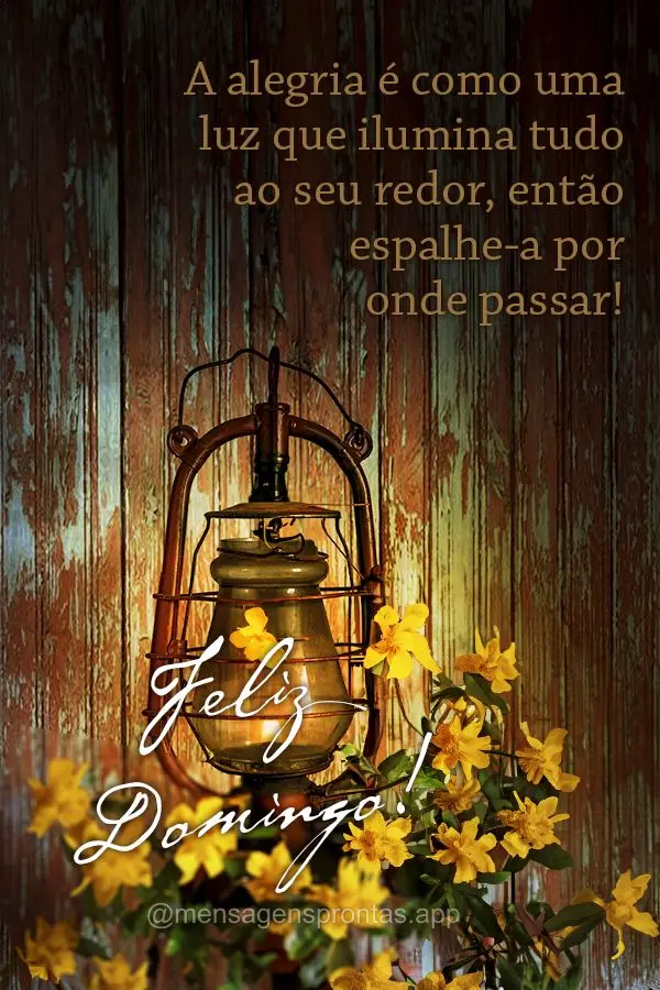 A alegria é como uma luz que ilumina tudo ao seu redor, então espalhe-a por onde passar! Feliz Domingo!