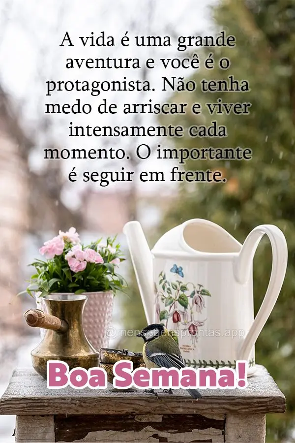 A vida é uma grande aventura e você é o protagonista. Não tenha medo de arriscar e viver intensamente cada momento. O importante é seguir em frente....