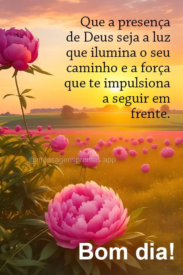 Que a presença de Deus seja a luz que ilumina a sua noite e a força que te impulsiona a seguir em frente. Bom dia!