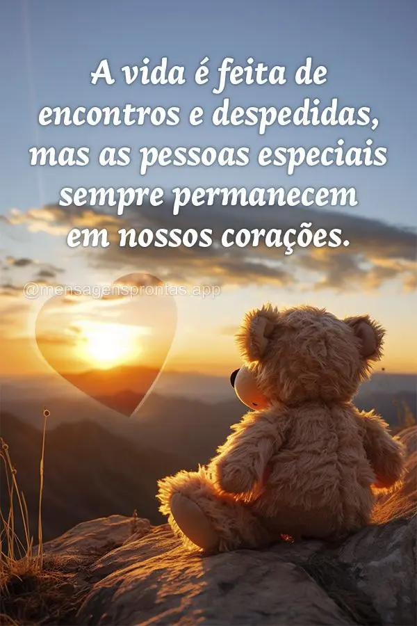 A vida é feita de encontros e despedidas, mas as pessoas especiais sempre permanecem em nossos corações.