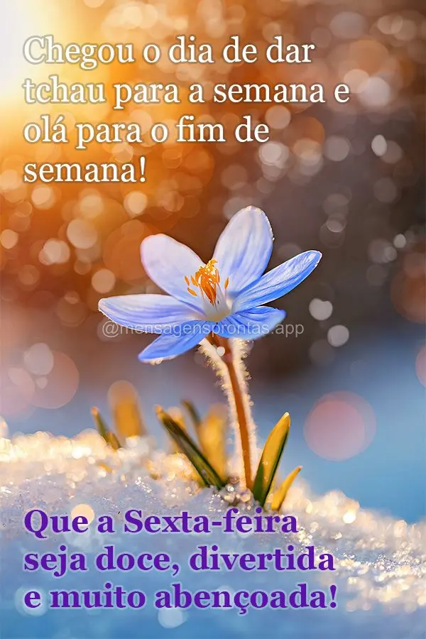 Chegou o dia de dar tchau para a semana e olá para o fim de semana! Que a sexta-feira seja doce, divertida e muito abençoada!