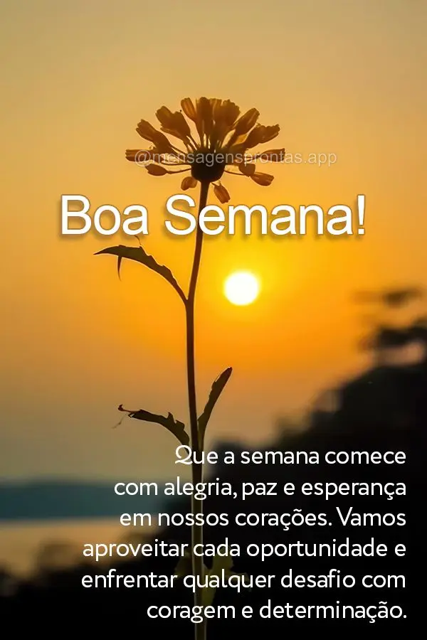 Que a semana comece com alegria, paz e esperança em nossos corações. Vamos aproveitar cada oportunidade e enfrentar qualquer desafio com coragem e det...