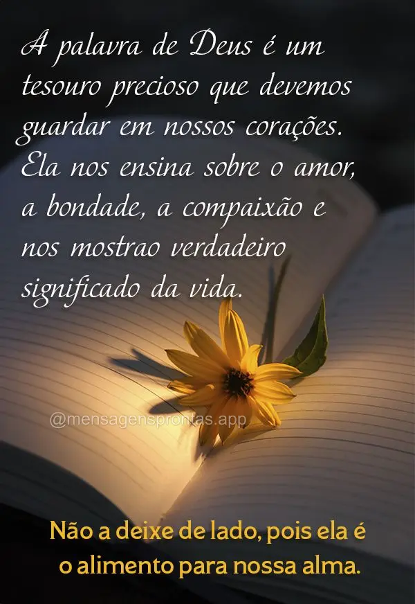 A palavra de Deus é um tesouro precioso que devemos guardar em nossos corações. Ela nos ensina sobre o amor, a bondade, a compaixão e nos mostra o ve...