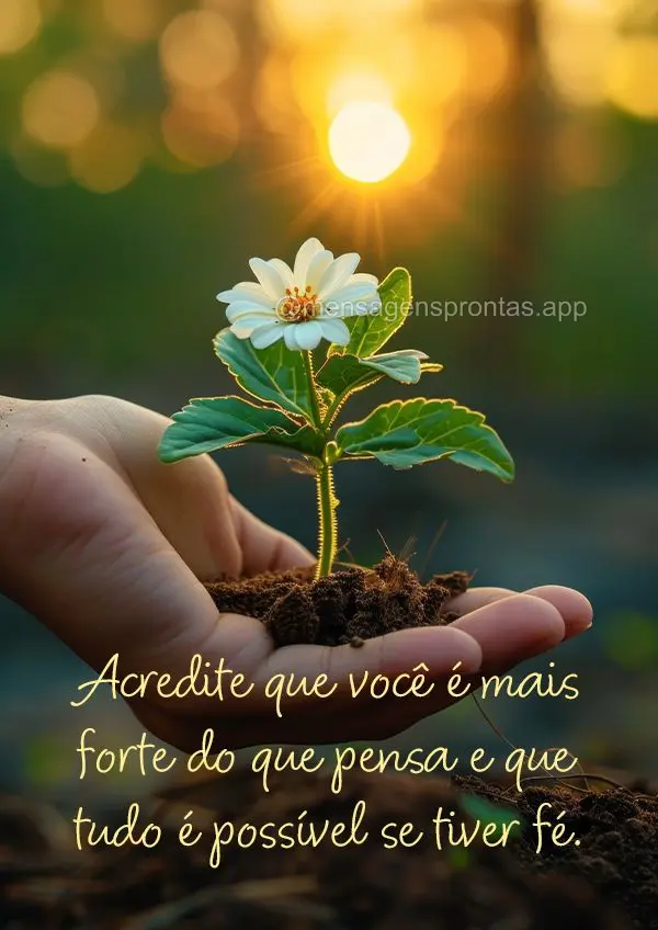 Acredite que você é mais forte do que pensa e que tudo é possível se tiver fé.