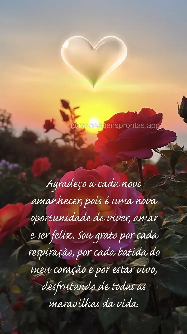 Agradeço a cada novo amanhecer, pois é uma nova oportunidade de viver, amar e ser feliz. Sou grato por cada respiração, por cada batida do meu coraç...