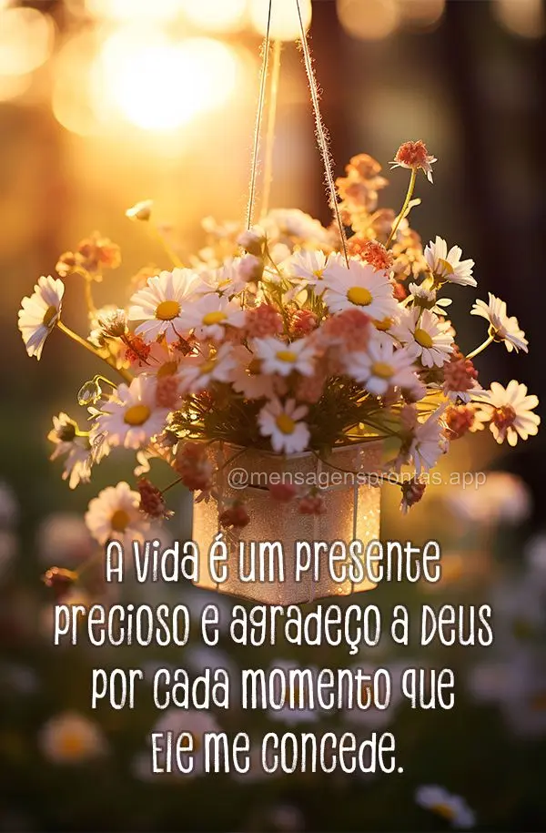 A vida é um presente precioso e agradeço a Deus por cada momento que Ele me concede.