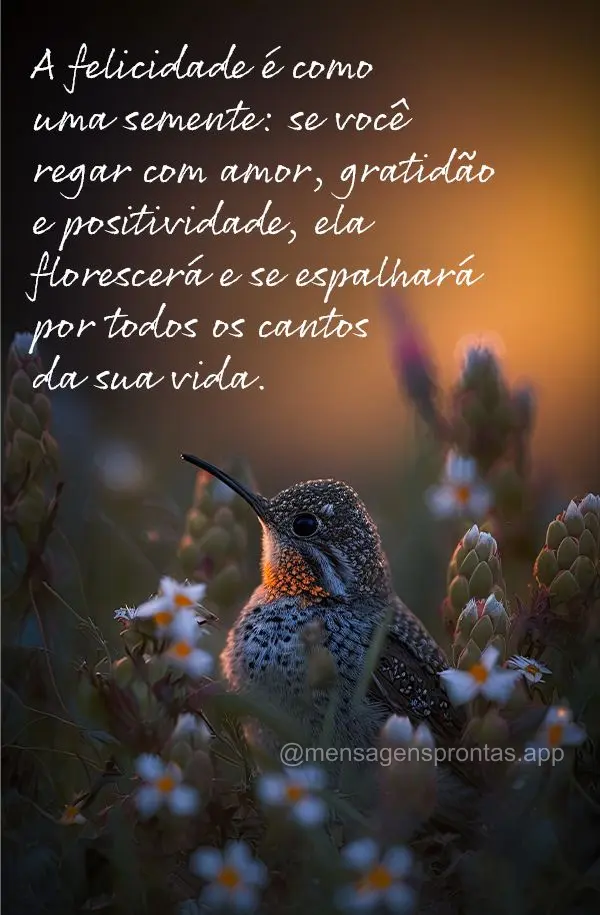 A felicidade é como uma semente: se você regar com amor, gratidão e positividade, ela florescerá e se espalhará por todos os cantos da sua vida.