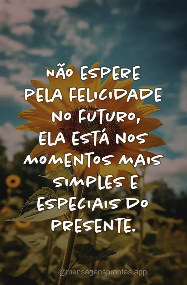 Não espere pela felicidade no futuro, ela está nos momentos mais simples e especiais do presente.