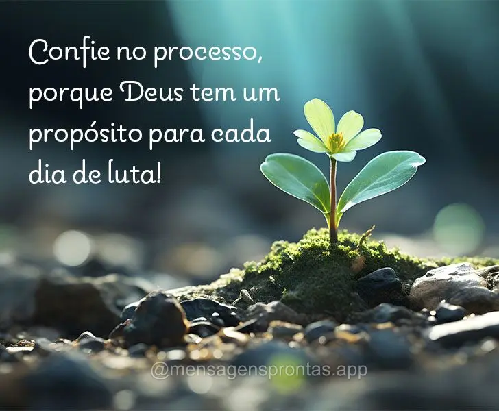 Confie no processo, porque Deus tem um propósito para cada dia de luta!