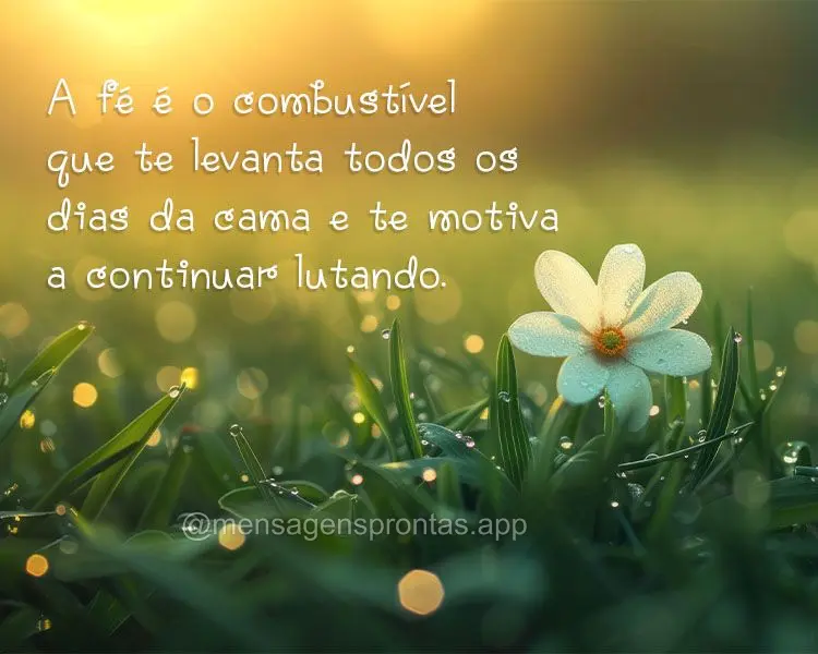 A fé é o combustível que te levanta todos os dias da cama e te motiva a continuar lutando.