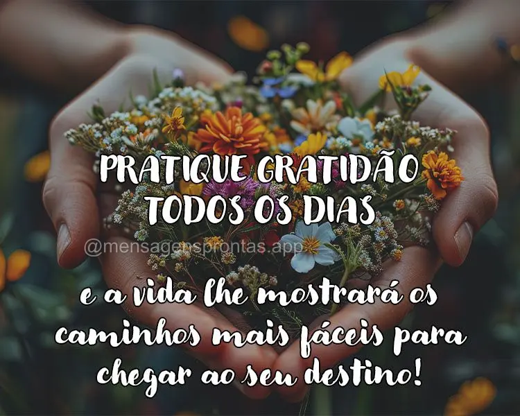 Pratique a gratidão todos os dias e a vida lhe mostrará os caminhos mais fáceis de chegar ao seu destino!