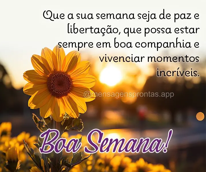 Que a sua semana seja de paz e libertação, que possa estar sempre em boa companhia e vivenciar momentos incríveis. Boa Semana!