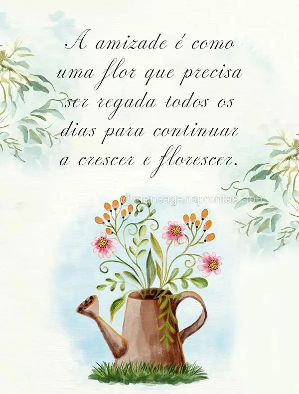 A amizade é como uma flor que precisa ser regada todos os dias para continuar a crescer e florescer.