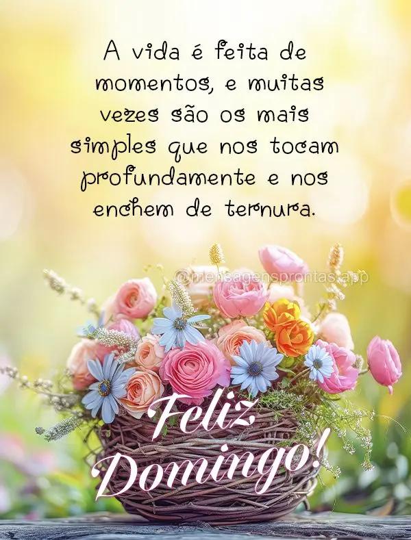 A vida é feita de momentos, e muitas vezes são os mais simples que nos tocam profundamente e nos enchem de ternura. Feliz Domingo! 