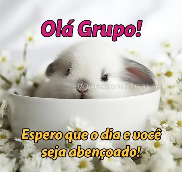 Olá Grupo! Espero que o dia e você seja abençoado!