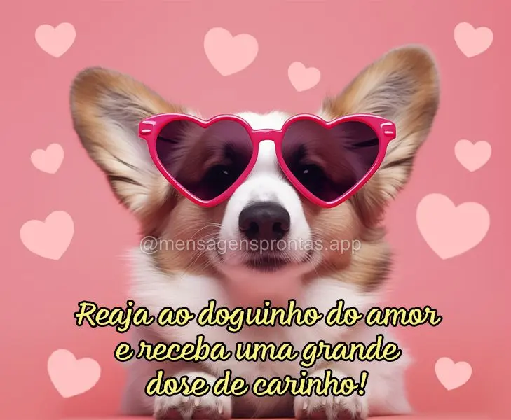 Reaja ao doguinho do amor e receba uma grande dose de carinho!