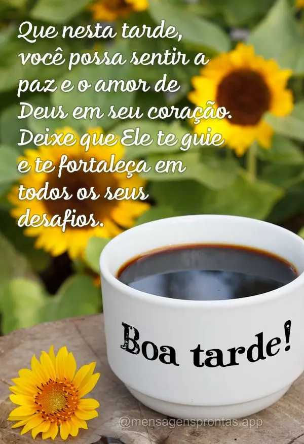 Que nesta tarde, você possa sentir a paz e o amor de Deus em seu coração. Deixe que Ele te guie e te fortaleça em todos os seus desafios. Boa tarde!...