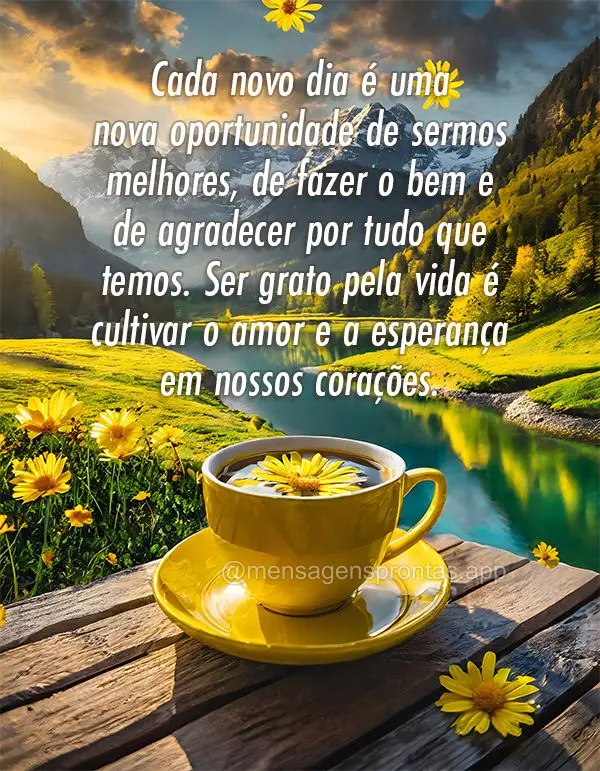 Cada novo dia é uma nova oportunidade de sermos melhores, de fazer o bem e de agradecer por tudo que temos. Ser grato pela vida é cultivar o amor e a e...