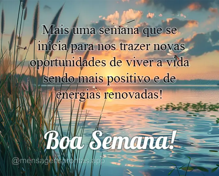 Mais uma semana que se inicia para nos trazer novas oportunidades de viver a vida sendo mais positivo e de energias renovadas! Boa Semana!