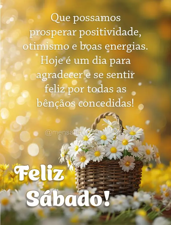 Que possamos prosperar positividade, otimismo e boas energias. Hoje é um dia para agradecer e se sentir feliz por todas as bênçãos concedidas! Feliz ...