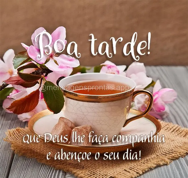 Que Deus lhe faça companhia e abençoe o seu dia! Boa tarde!