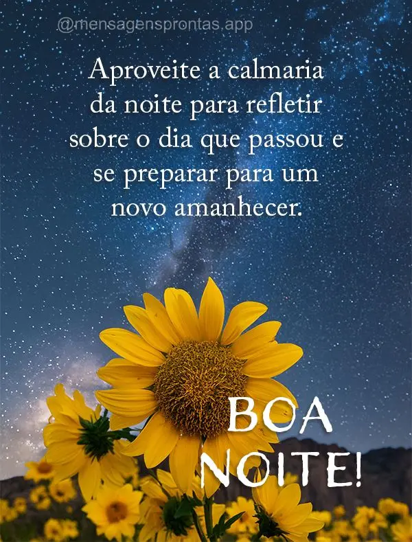 Aproveite a calmaria da noite para refletir sobre o dia que passou e se preparar para um novo amanhecer. Boa noite!