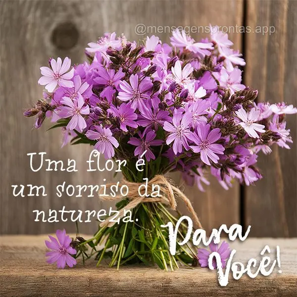 Uma flor é um sorriso da natureza. Par você!