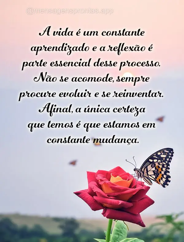 A vida é um constante aprendizado e a reflexão é parte essencial desse processo. Não se acomode, sempre procure evoluir e se reinventar. Afinal, a ú...