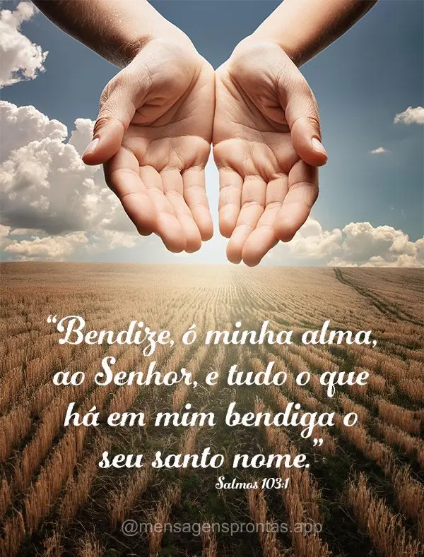 “Bendize, ó minha alma, ao Senhor, e tudo o que há em mim bendiga o seu santo nome.” Salmos 103:1