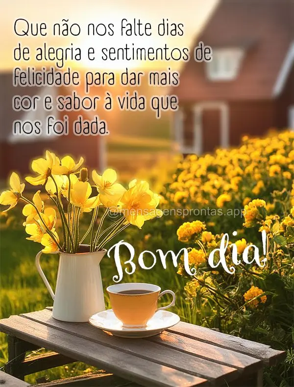 Que não nos falte dias de alegria e sentimentos de felicidade para dar mais cor e sabor à vida que nos foi dada. Bom dia!