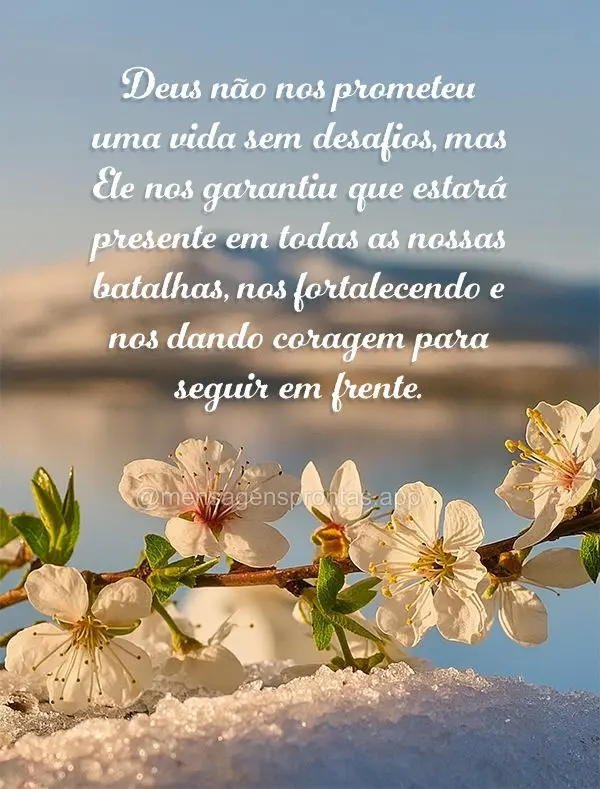 Deus não nos prometeu uma vida sem desafios, mas Ele nos garantiu que estará presente em todas as nossas batalhas, nos fortalecendo e nos dando coragem...