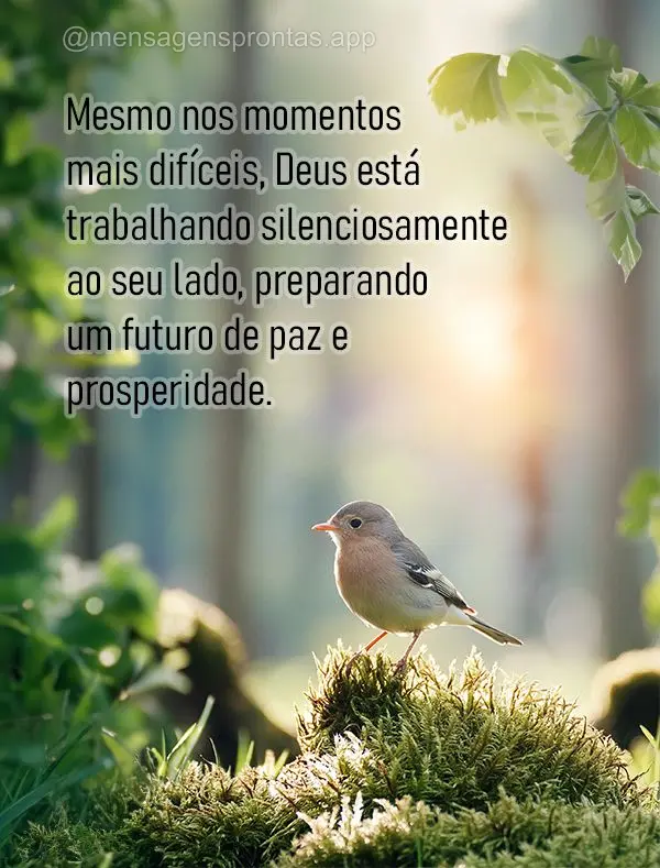 Mesmo nos momentos mais difíceis, Deus está trabalhando silenciosamente ao seu lado, preparando um futuro de paz e prosperidade.