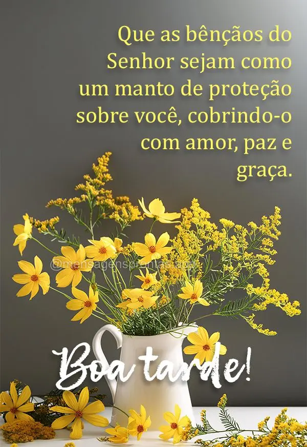 Que as bênçãos do Senhor sejam como um manto de proteção sobre você, cobrindo-o com amor, paz e graça. Boa tarde!