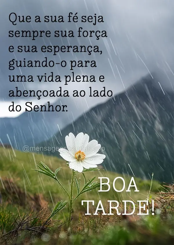 Que a sua fé seja sempre sua força e sua esperança, guiando-o para uma vida plena e abençoada ao lado do Senhor. Boa tarde!