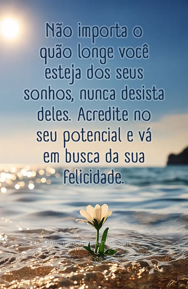 Não importa o quão longe você esteja dos seus sonhos, nunca desista deles. Acredite no seu potencial e vá em busca da sua felicidade.