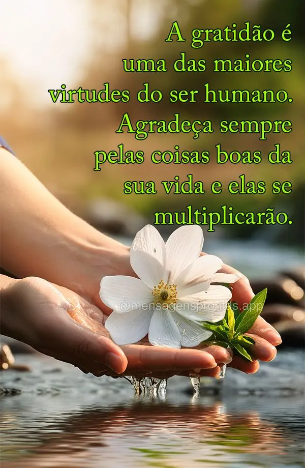 A gratidão é uma das maiores virtudes do ser humano. Agradeça sempre pelas coisas boas da sua vida e elas se multiplicarão."