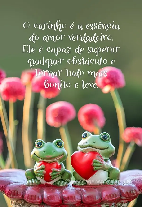 O carinho é a essência do amor verdadeiro. Ele é capaz de superar qualquer obstáculo e tornar tudo mais bonito e leve.