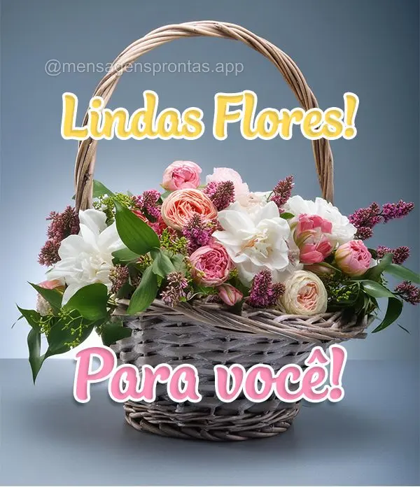 Lindas flores para você!