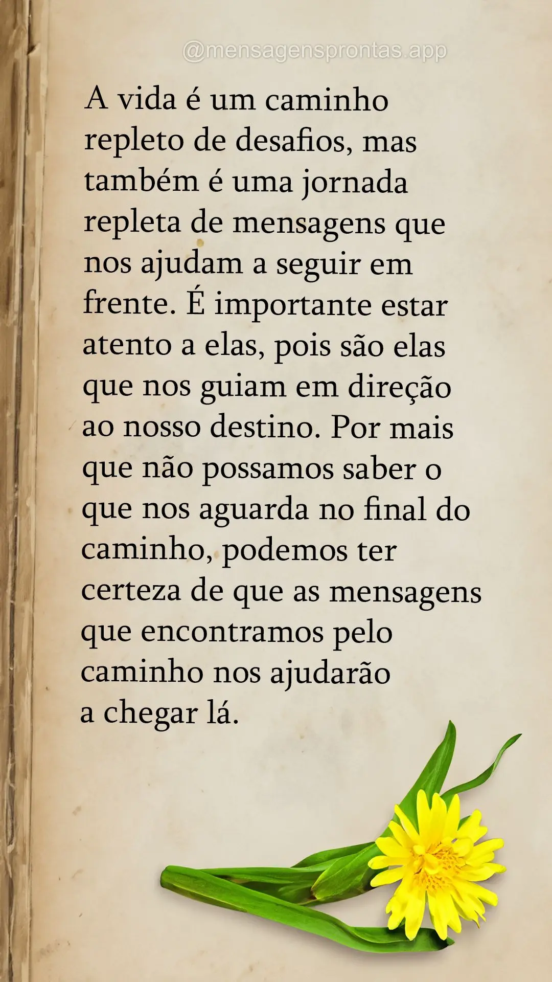 A vida é um caminho repleto de desafios, mas também é uma jornada repleta de mensagens que nos ajudam a seguir em frente. É importante estar atento a...