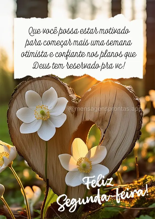 Que você possa estar motivado para começar mais uma semana otimista e confiante nos planos que Deus tem reservado pra vc! Feliz  Segunda-feira!